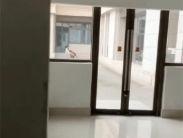 江苏某师范大学文学院 狗男女光天化日上演赤壁之战 男生将头埋入女友胯下舔
